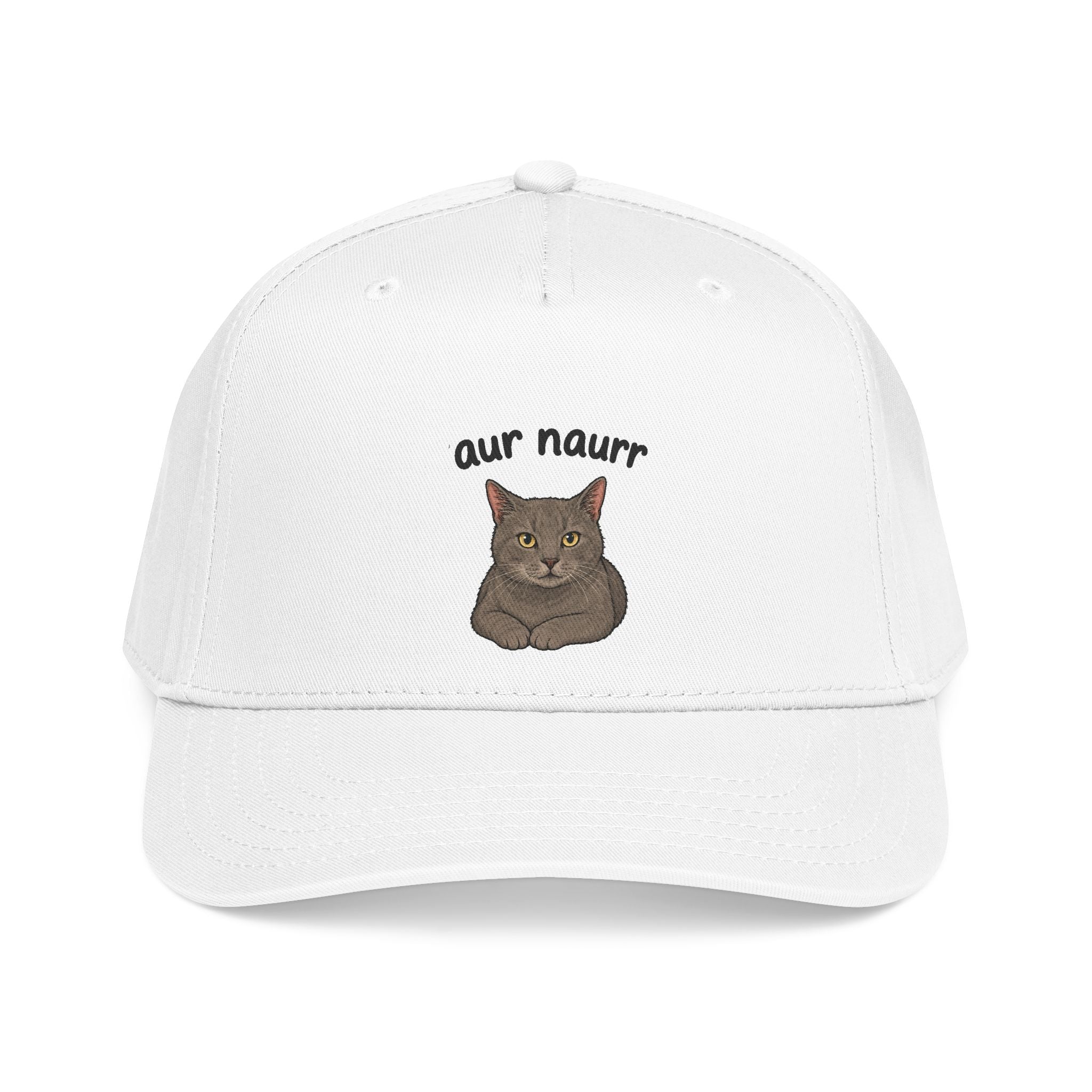 Cat Face Baseball Cap — "aur naurr" Cute Grumpy Kitty Embroidered Hat