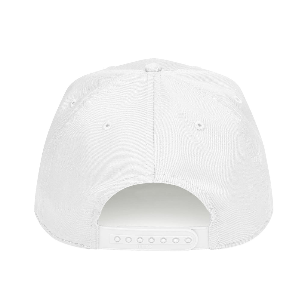 Cat Face Baseball Cap — "aur naurr" Cute Grumpy Kitty Embroidered Hat