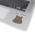 Gray Cat Kiss-Cut Sticker — “aur naurr” Cute Laptop & Water Bottle Decal