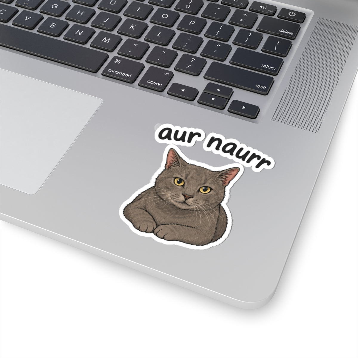 Gray Cat Kiss-Cut Sticker — “aur naurr” Cute Laptop & Water Bottle Decal